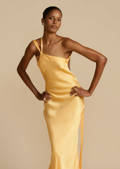 AVEEKO - ELEGANT SATIN CURVE DRESS