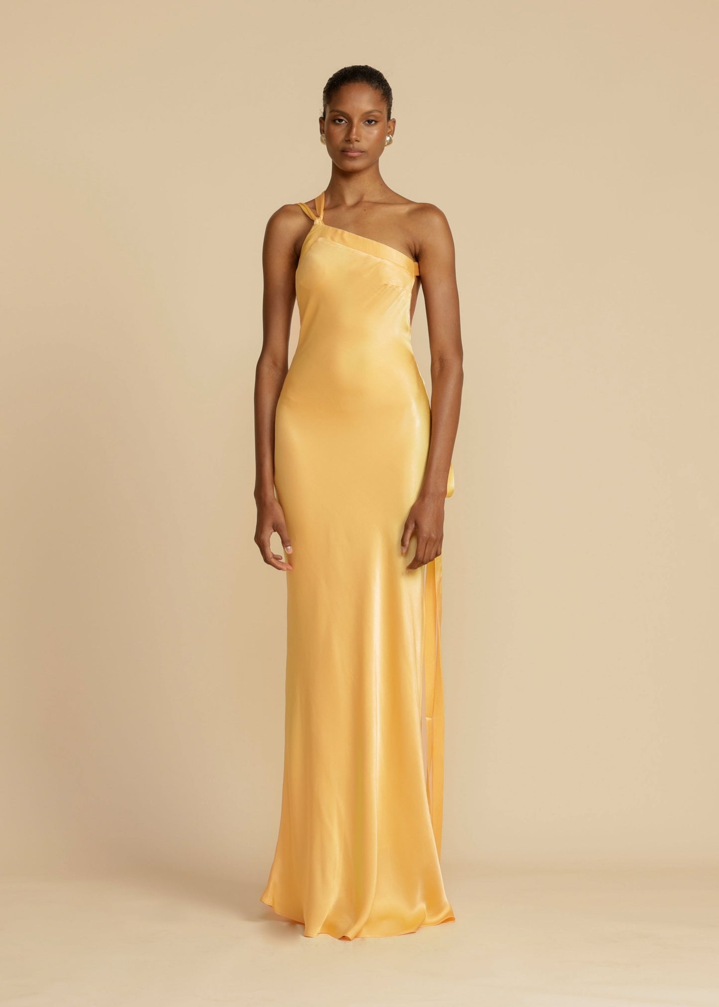 AVEEKO - ELEGANT SATIN CURVE DRESS